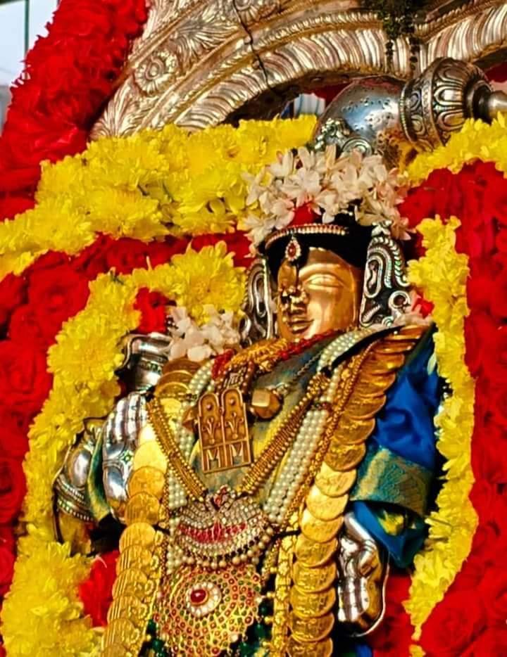 sri-karpagambikai-thiru-veethi-purappadu