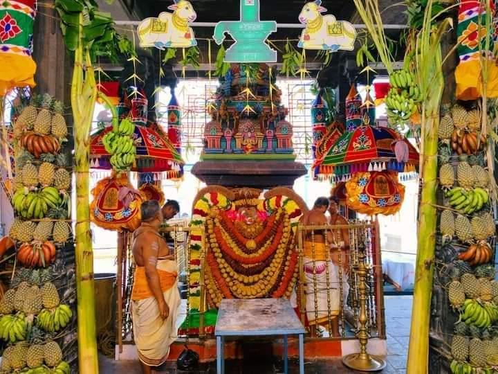 sri-karpagambikai-thiru-veethi-purappadu