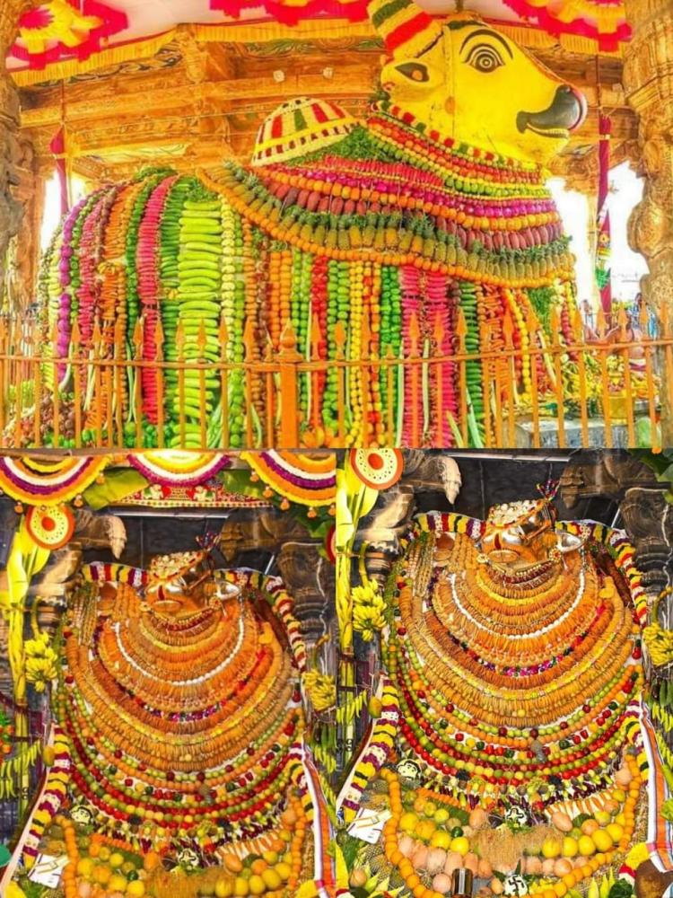 photo-stories-16-jan-2024