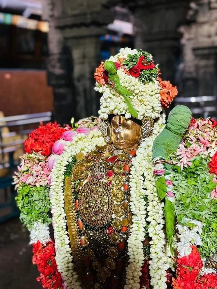srivilliputhur-sri-andal-sametha-sri-rangamannar-chittirai-vasant-utsav