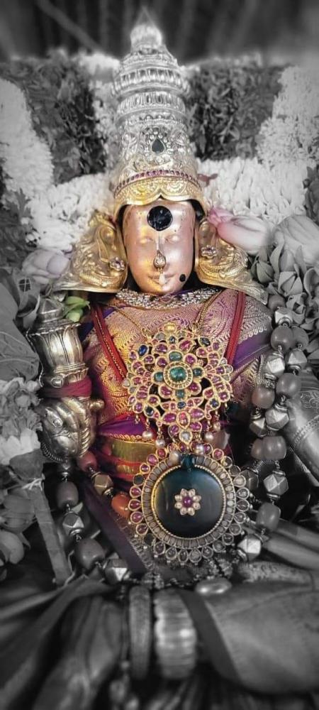 madurai-meenakshi-sundareshwar-chithirai-thiruvizha