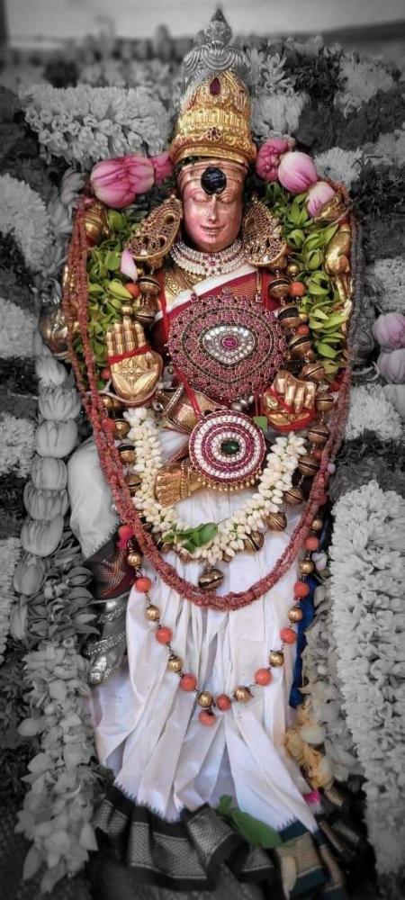 madurai-meenakshi-sundareshwar-chithirai-thiruvizha