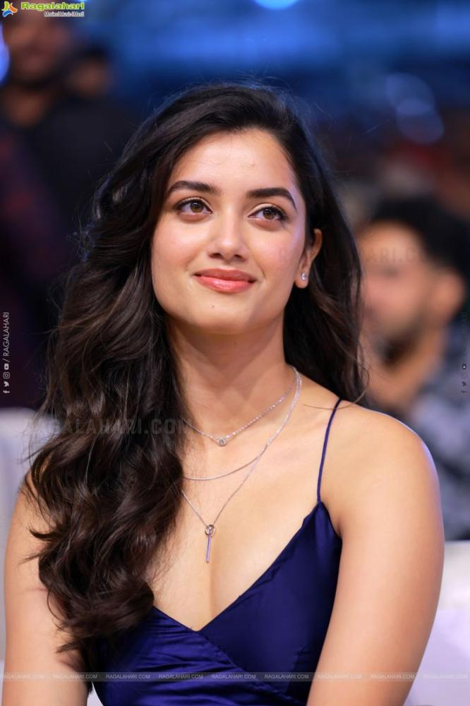 actress-bhagyashri-borse-photos