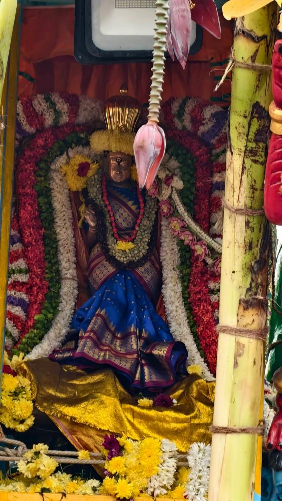 cheyyar-thiruvothur-vedhapureeswarar-temple