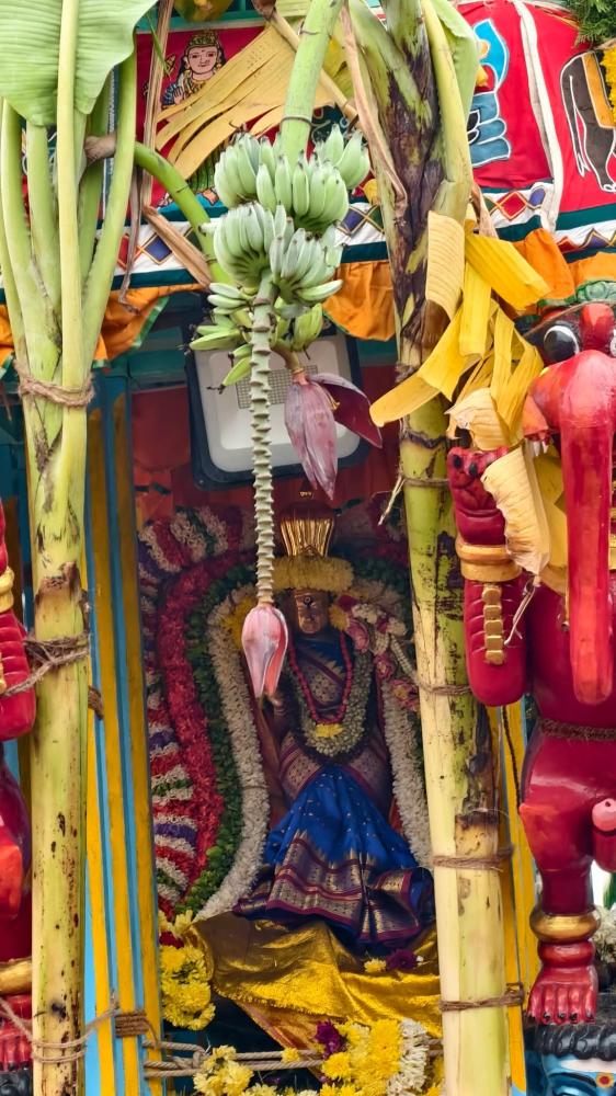 cheyyar-thiruvothur-vedhapureeswarar-temple