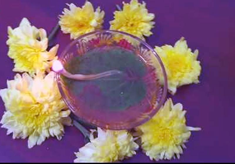 jala-deepam-to-resolve-family-problems