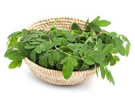 uses-and-benefits-of-lettuce