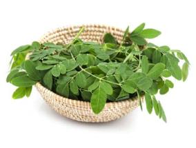 uses-and-benefits-of-lettuce