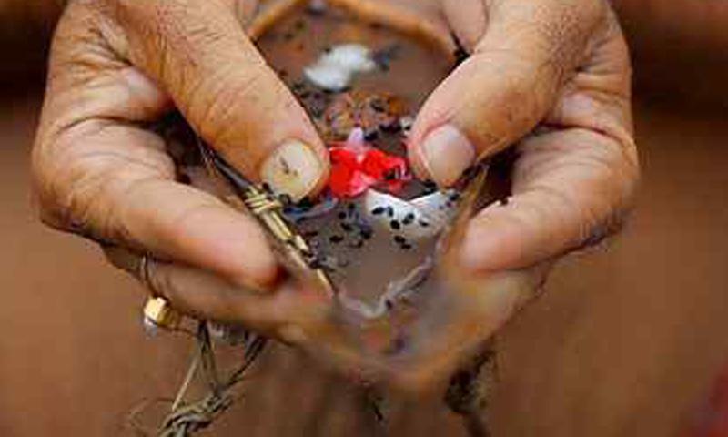 purattasi-amavasai-poojas-to-own-lord