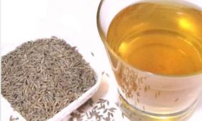 fennel-water-to-reduce-weight-loss