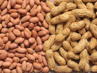 groundnut-protecting-the-heart