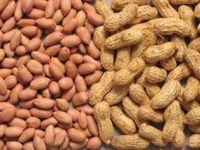 groundnut-protecting-the-heart