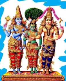 theerga-sumangali-bavaa