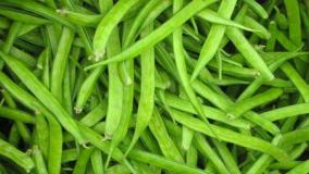 guar-be-used-for-corona