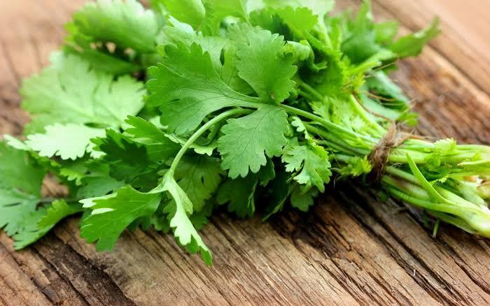 what-are-the-benefits-of-drinking-coriander-juice-on-the-body