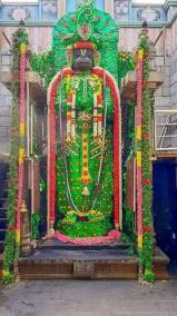 what-are-the-benefits-of-pronouncing-hanuman-salisha