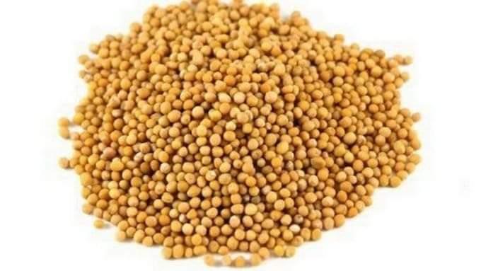 what-are-the-benefits-of-eucalyptus-for-uterine-problems