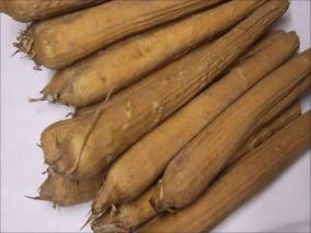 what-are-the-benefits-of-cashews