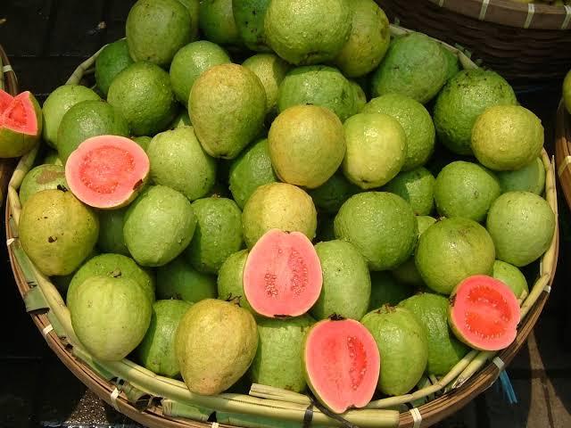 damn-so-good-at-guava-fruit
