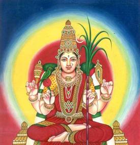 what-are-the-specials-of-the-month-of-audi