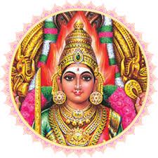 why-pulp-in-aadi-month