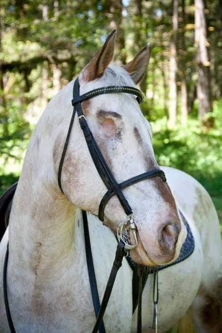 kaniyeruppa-kaai-kavarthattru-thirukkural-thiruvalluvar