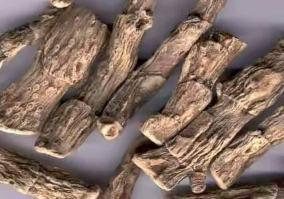 measles-why-children-s-medicine