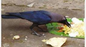 aadi-amavasai-tharpanam-why-where