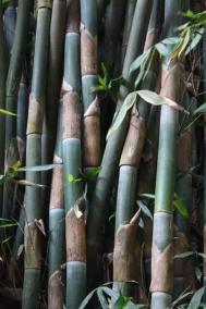 why-is-there-nothing-here-that-is-impossible-how