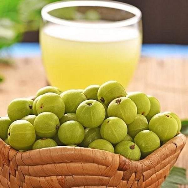 the-magnificence-of-gooseberry