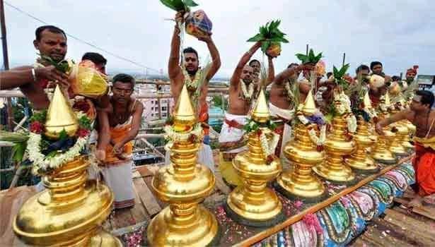 why-wait-for-the-hawk-when-the-canopy-occurs-in-the-temples