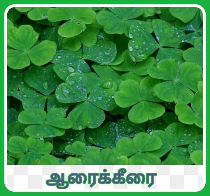 are-you-sick-of-diabetes