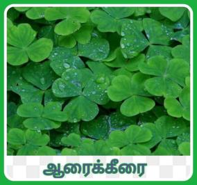 are-you-sick-of-diabetes