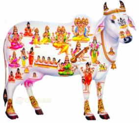 worship-of-the-blessed-komata