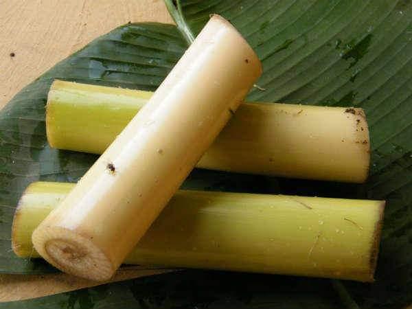 benefits-of-adengappa-banana