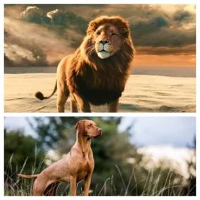 to-work-more-efficiently-than-to-work-hard