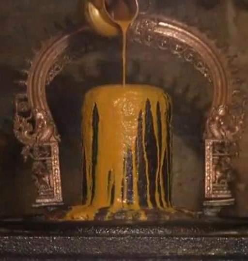 cardiologist-who-protects-the-heart