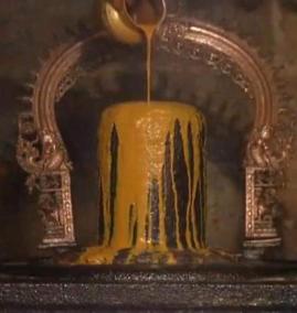 cardiologist-who-protects-the-heart