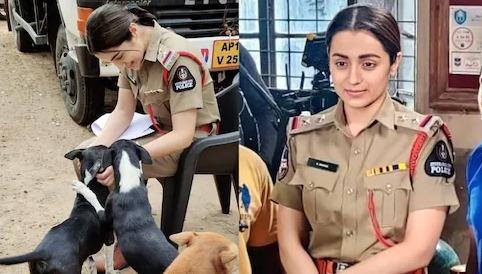 actress-trisha-new-movie