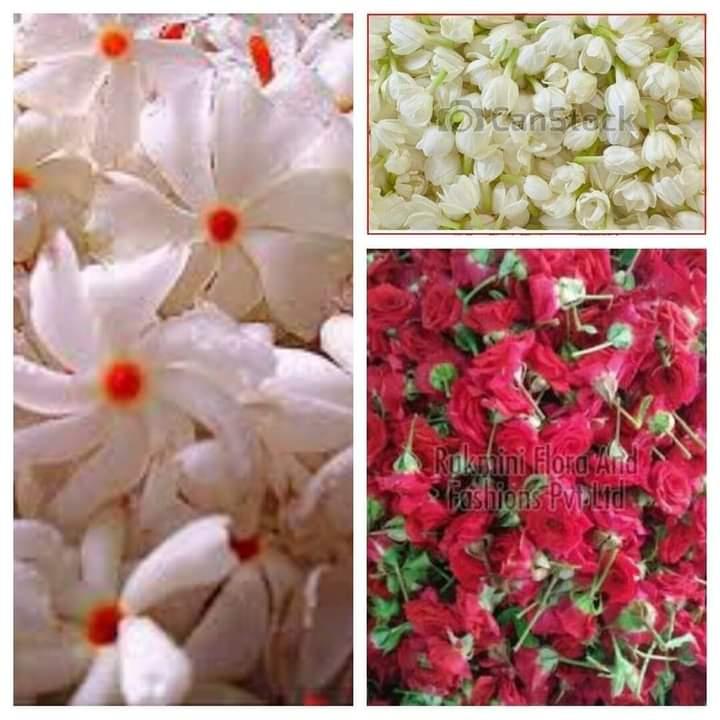 the-wonderful-benefits-of-archana-flowers