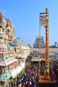 thiruvarur-sreediyagaraja-swamy-temple-panguni-order-festival