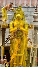 aanjaneyar-temple-abishegam