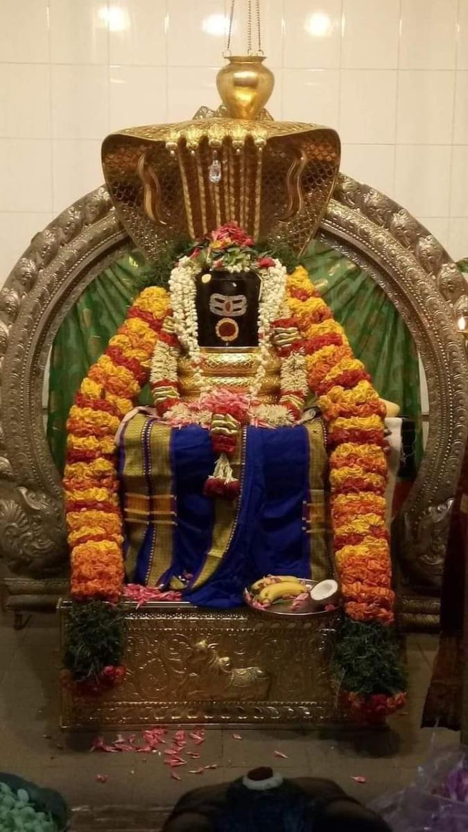 the-highlights-of-life-to-experience-under-the-age-of-30-40