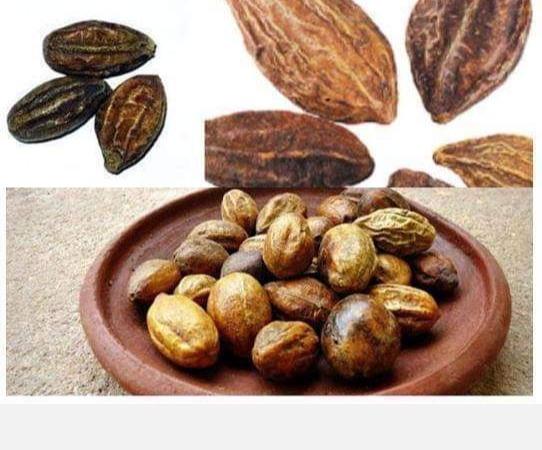 what-can-you-eat-to-live-longer