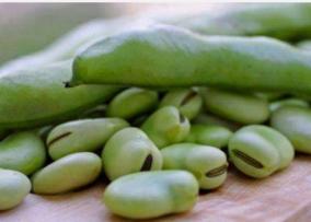 diabetes-problem-health-tips