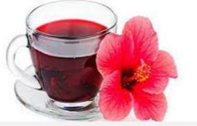 hibiscuss-tea-health-benefits