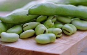 herbs-that-control-diabetes