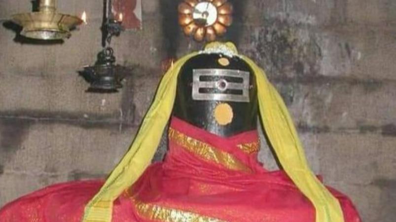 edaiyatrunathar-sivan-temple-thiruvadiyaru