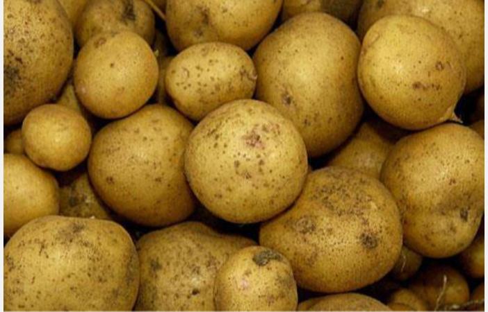 potato-vegetable-health-tips