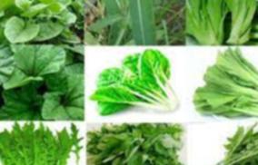 keeraigal-health-benefits